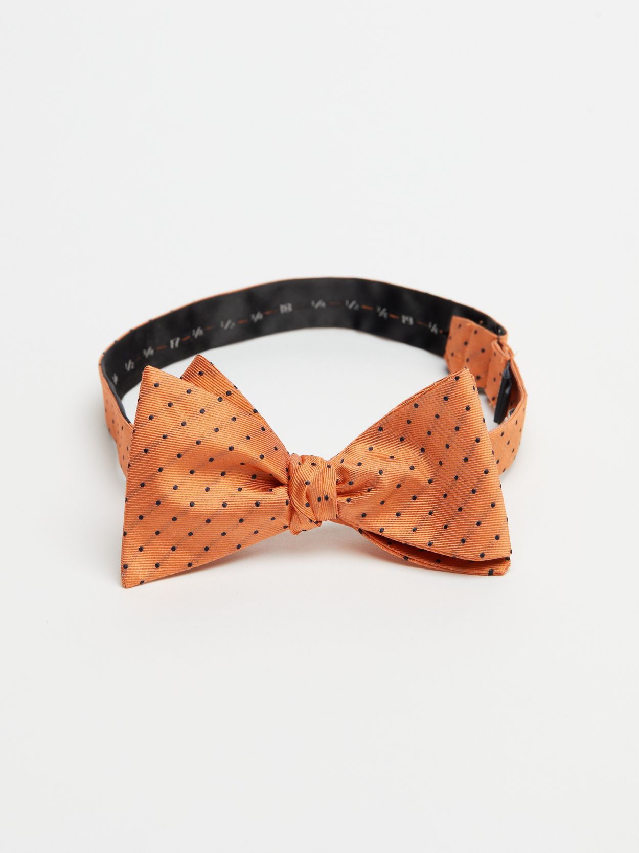 Orange Bow Tie Dot