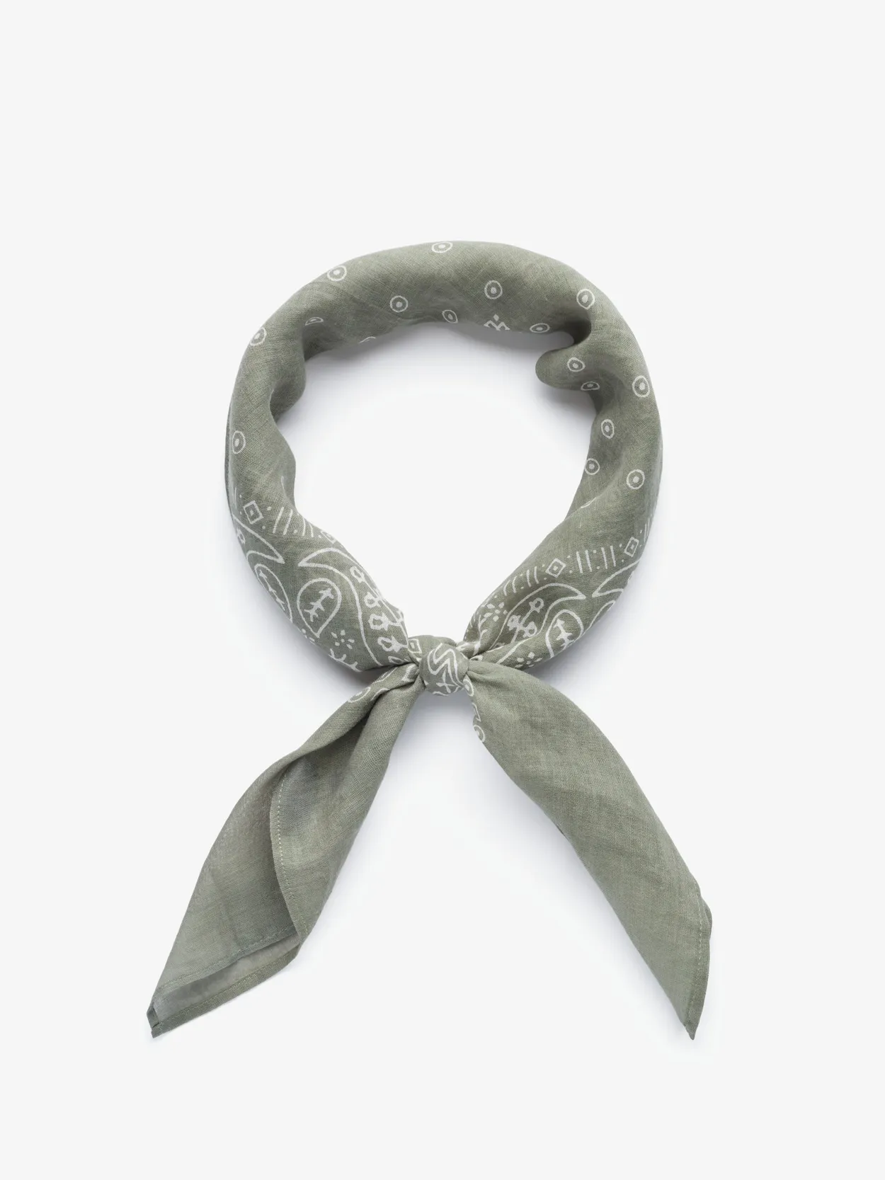 Light Green Bandana Paisley