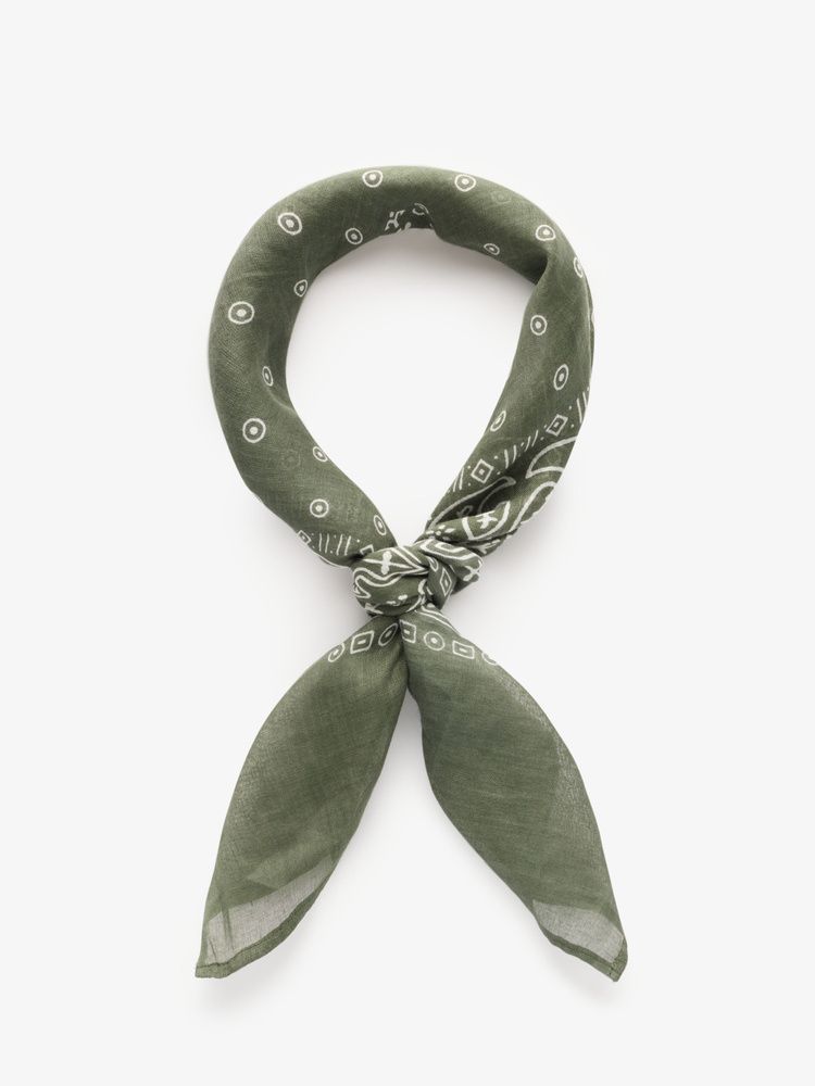 Hunde-Bandana-Leine Im Ombré-Paisley-Look – 122 Cm Lang, 3,8 Cm Breit, Polyester Mit Stahlhaken