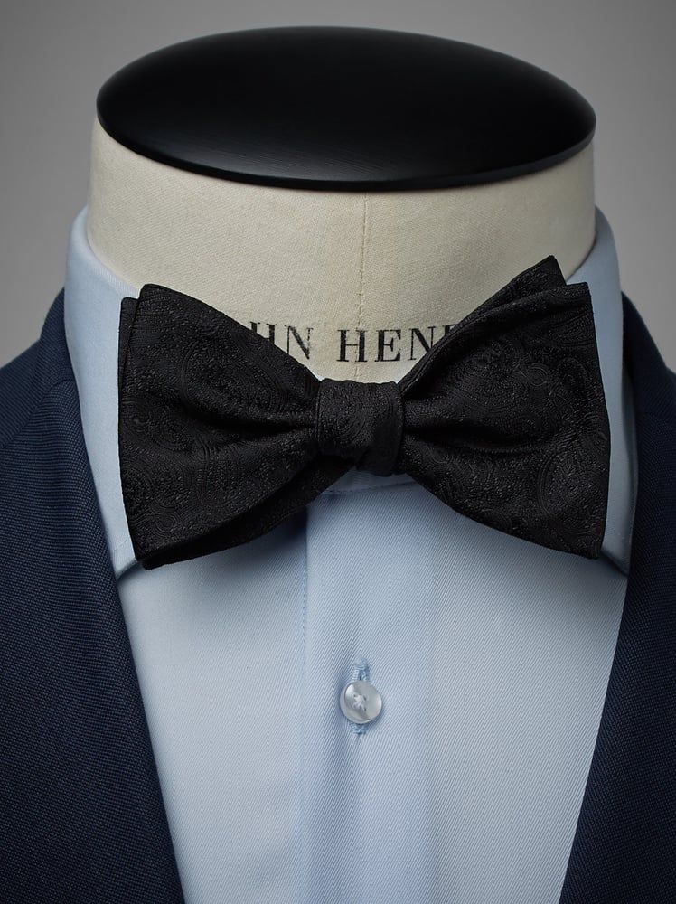 Schwarze Fliege