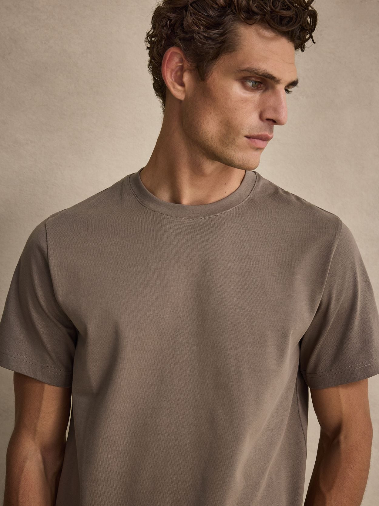 Taupe Midweight T-Shirt - Cotton Casual Fit - Buy online | John Henric