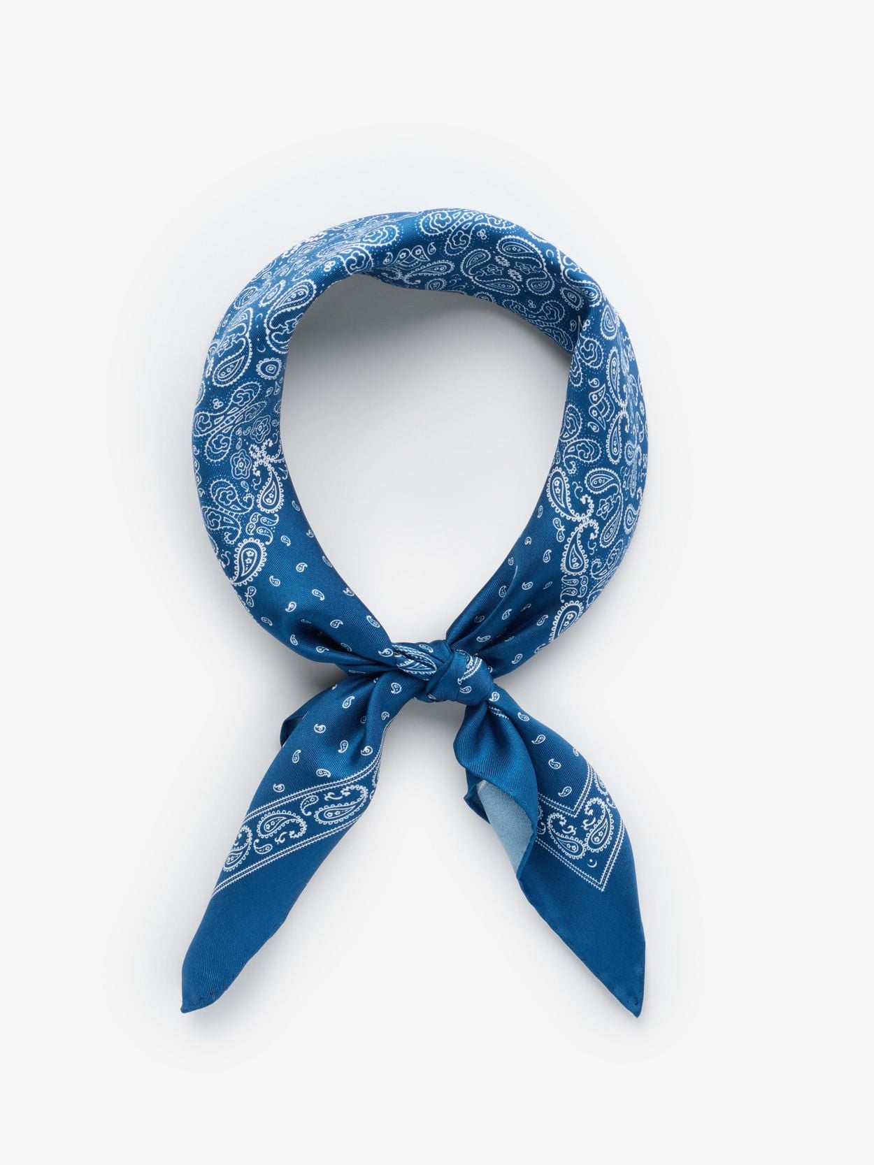 Blue Bandana