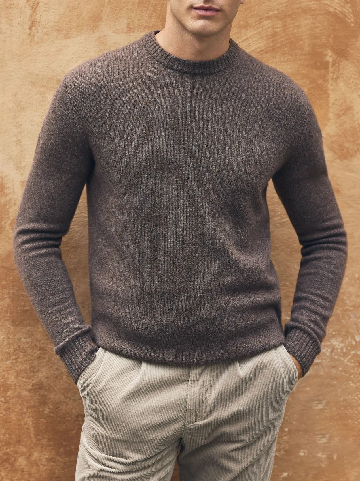 Brown Cashmere Blend Sweater Carl