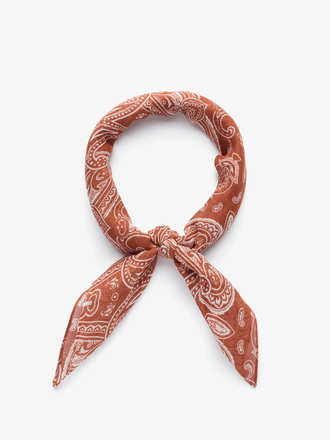 Terracotta Bandana Paisley