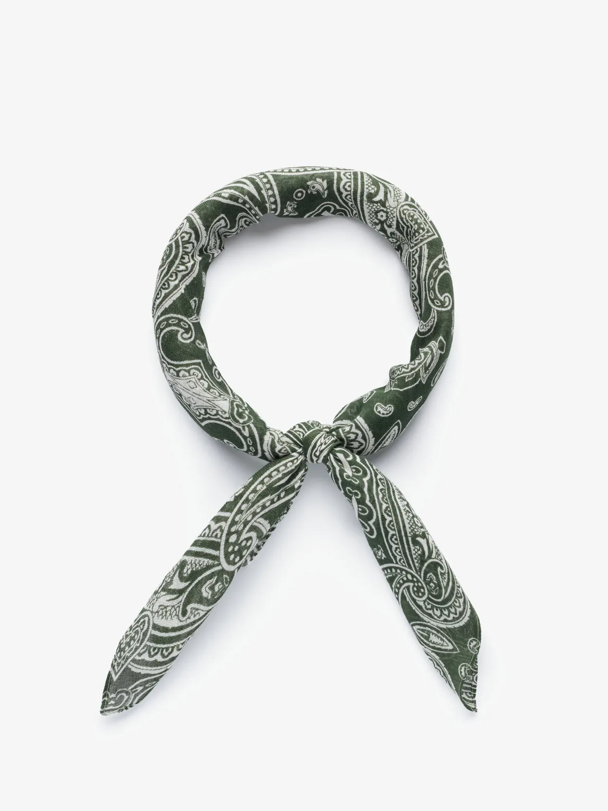 Green Bandana Paisley