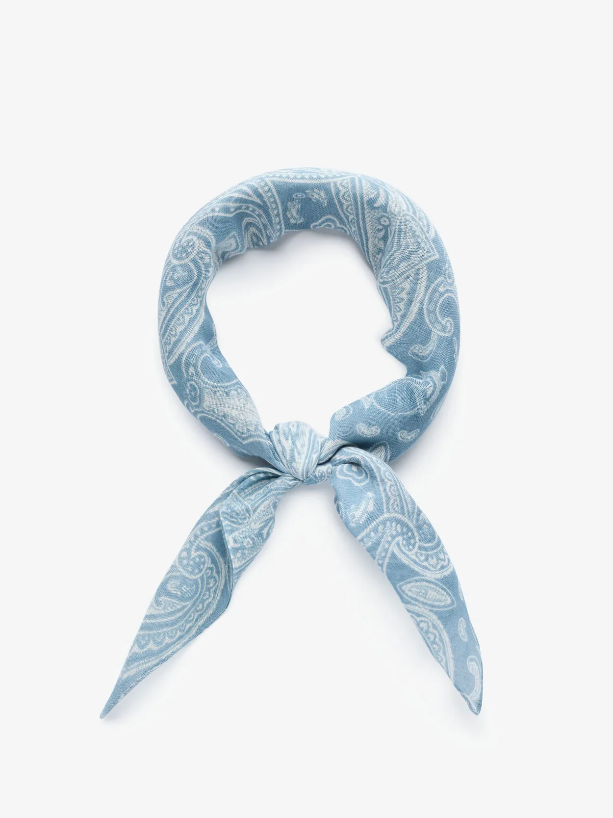 Blue Bandana Paisley