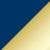 Dark Blue & Gold